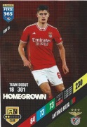 PANINI FIFA 365 2024 HOMEGROWN ANTONIO SILVA BENFICA BEN 15
