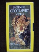 Lampart- Nocny łowca kaseta Video