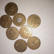 Polsie 2 złoty kolekcjonerskie obiegowe