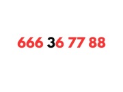 666 36 77 88 STARTER T-MOBILE KARTA SIM UNIKATOWY ZŁOTY PROSTY ŁATWY NUMER