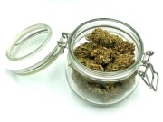 Lemon haze 11% CBD  Switzerland 16gr