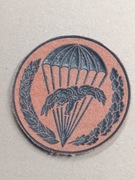 Naszywka oznaką 6PDPD, typ III, 6daplot