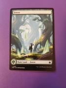 Forest (Foundations - Magic the Gathering)