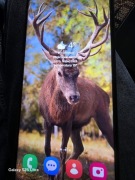 Samsunga galaxy a13
