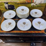 Rosenthal dwanaście konfiturówek