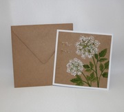 Kartka ręcznie malowana w białe kwiaty polne brązowa Urodziny Imieniny ślub