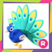 Ride Peacock R | Adopt Me | Roblox