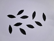 Scrapki liść tłoczony 10 szt. 34x12 mm czarny gramatura 300 g/m2