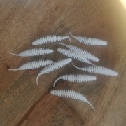 Tanta Supercontinent 65mm 