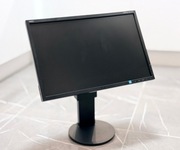 NEC MultiSync EA 223WM