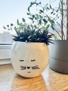 Doniczka biała okrągła ceramiczna Kotek 13 cm średnica