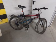 Rower Jaguar Flash Bike 