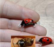 Biedronka 20 mm na klenia i jazia woblery PN