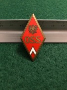 Odznaka absolwentka OSS Wz 52