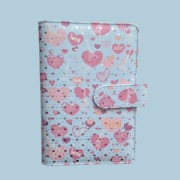 Segregator budżetowy A6