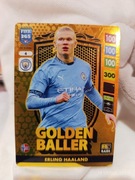 Karta piłkarska ERLING HAALAND 
