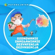 Pranie tapicerki, odpluskwianie, dezynsekcja, dezynfekcja, ozonowanie