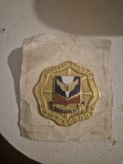 Oryginalna odznaka United States Army School – militaria USA