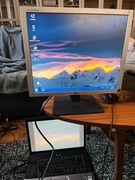 Monitor Flatron 1919S-SF