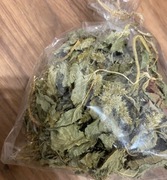 Szarłat szorstki ziele, suszone całe, amarantus 