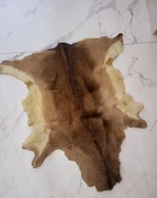 Dywan Skóra z Jelenia Skóra bydlęca szampańska skóra naturalna