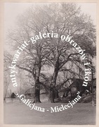 Chałupy wiejskie zdjęcie 18x24 cm ziemia mielecka