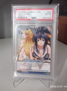 Asia & Akeno Prism Connect slab graded PSA 6 High School DxD