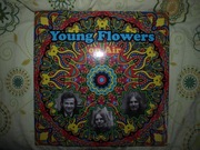 Young Flowers - on Air  psych. rock, hard   MN 2 LP