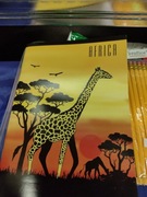 Zeszyt gładki A5 gładkie kartki miękka oprawa