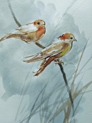 Ptaszki, wróbelki, delikatna akwarela, obraz akwarelą, akwarela