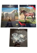 Konie Arabskie - kalendarze - Tutto Arabi, Arabian Horse Magazine