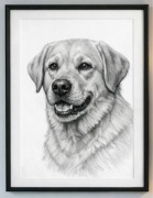 Ręcznie rysowany portret psa – Format A3 Gdańsk Gdynia Reda Wejherowo Trzew