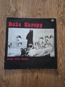 Róże Europy Stańcie przed lustrami 1988 płyta winylowa vinyl vintage retro