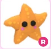 Starfish R adopt me