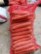 Marchew 12 kilo  burak 12 kilo paczka od rolnika warzywa bez chemii 