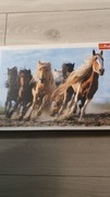 Puzzle 1000 Trefl konie