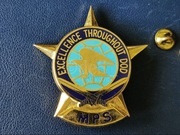 US Military Postal System badge (MPS)