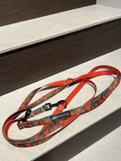 Smycz przepinana PSYJACIELE 3m, truskawki