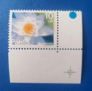 Fi 4638 ** NAROŻNIK Kwiaty i owoce Grzybienie 2015