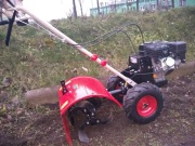 Glebogryzarka wynajem Bydgoszcz 