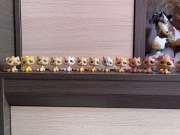 LPS Littlest pet shop tabby cat zestaw