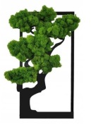 Drzewko Szczęścia Mech Chrobotek - Obraz