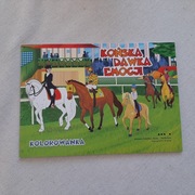 Kolorowanka - końska dawka emocji