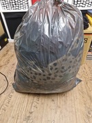 Odzież damska, sortowana, 8 kg + gratis