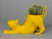 Doniczka dekoracja kot!