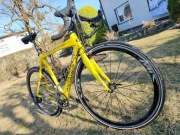 Rower szosowy Thompson Antares full carbon campagnolo