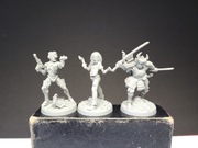 Zombicide Iron Maiden 3 figurki