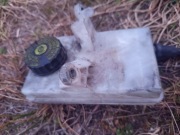 Zbiorniczek płynu hamulcowego Peugeot Partner 1.6 HDI 2009 ORI Berlingo