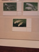 Laos 2004  Mi 1917-9  delfiny seria