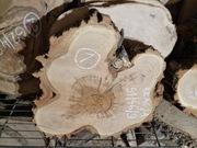 AKACJA ROBINIA 51/46/9 cm Po Suszarni Blat Plaster Drewna Stolik DIY Suchy